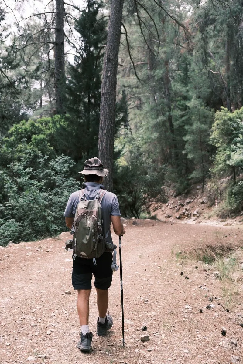 Hiker using a walking pole on a forest trail