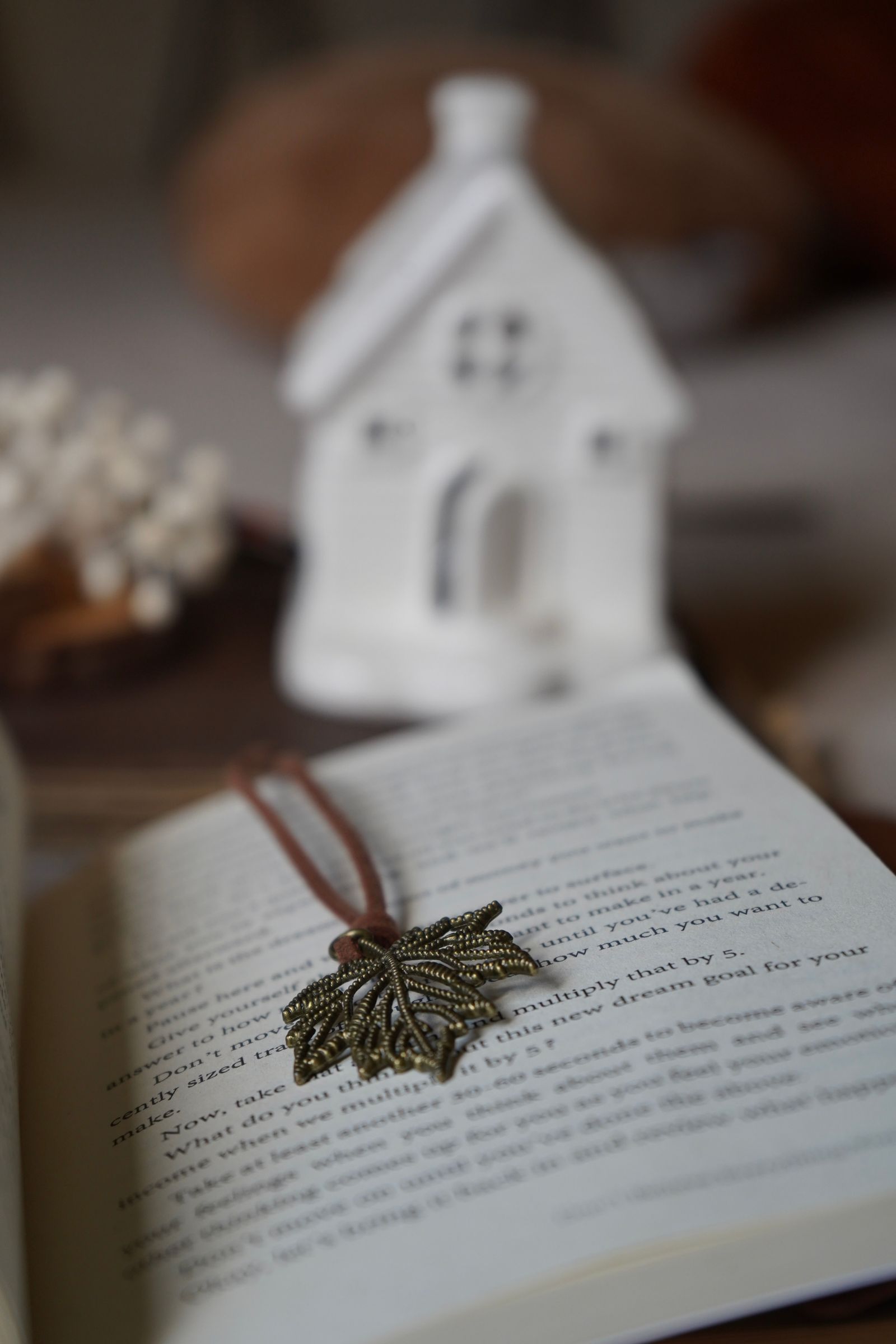 Leaf-shaped ornament with a ribbon resting on an open book in a reading scene